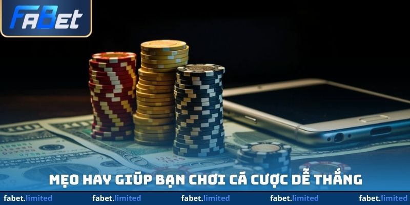 Bạn cần học hỏi mẹo cược hãy tham khảo ngay