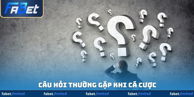 Câu hỏi thường gặp khi cá cược